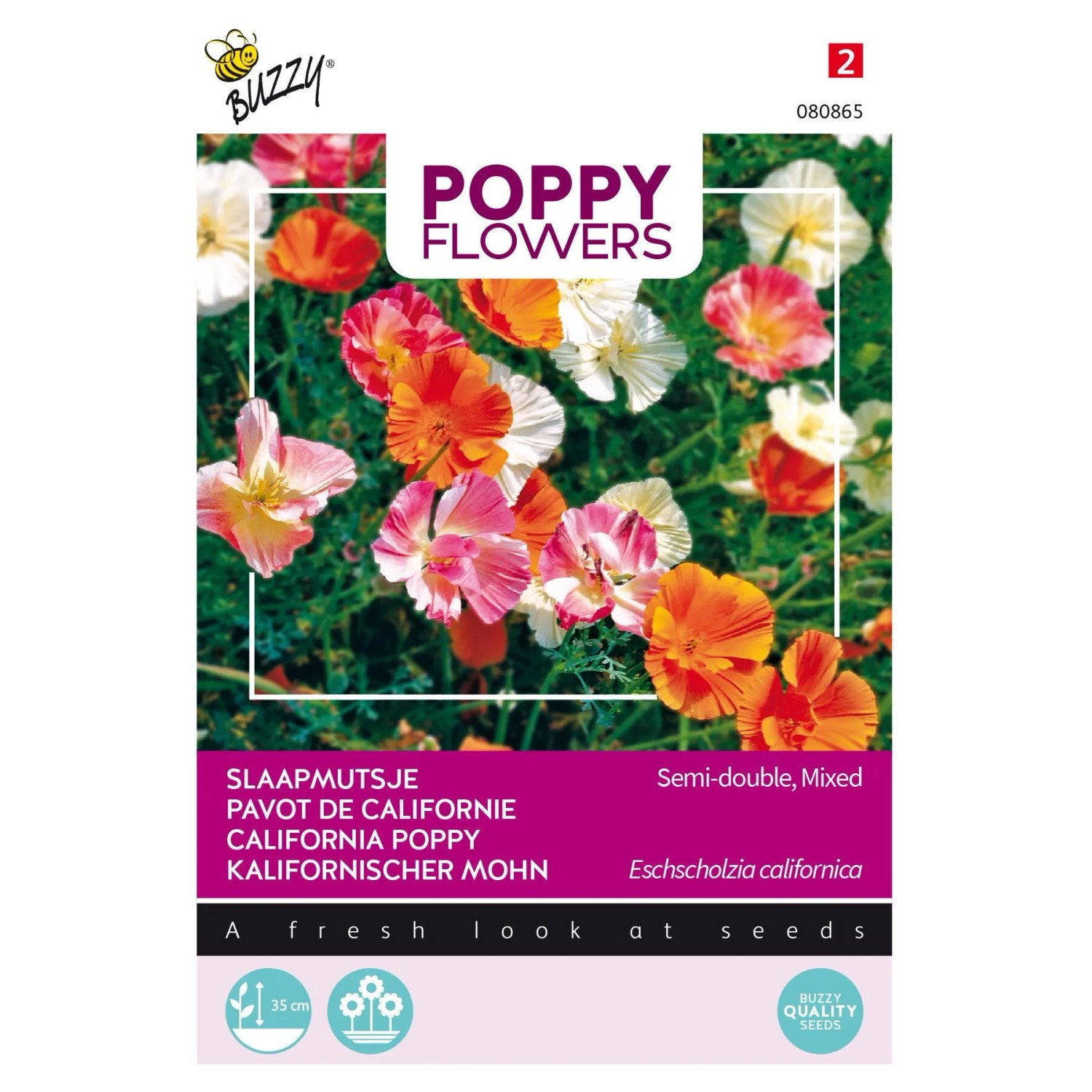 Kalifornischer Mohn Buzzy Poppy Flowers Samen Ca. 1 g Reichblühend