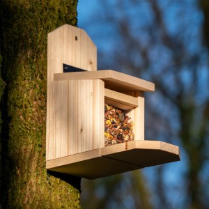 Hölzerne Eichhörnchen Futterstation mit Acrylglas, gefüllt mit Nüssen, an Baumstamm. Robustes Futterhaus.