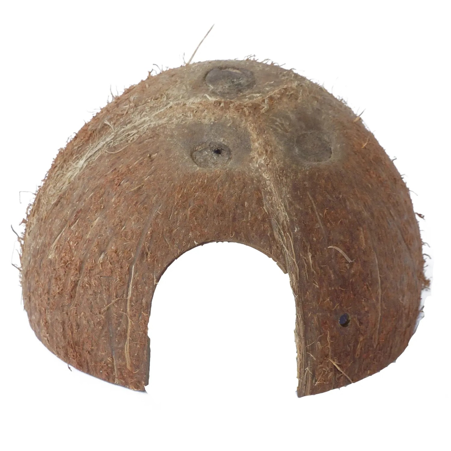 Kokoshöhle - Laichhöhle, Tierversteck für Insekten oder Spinnen 1/2