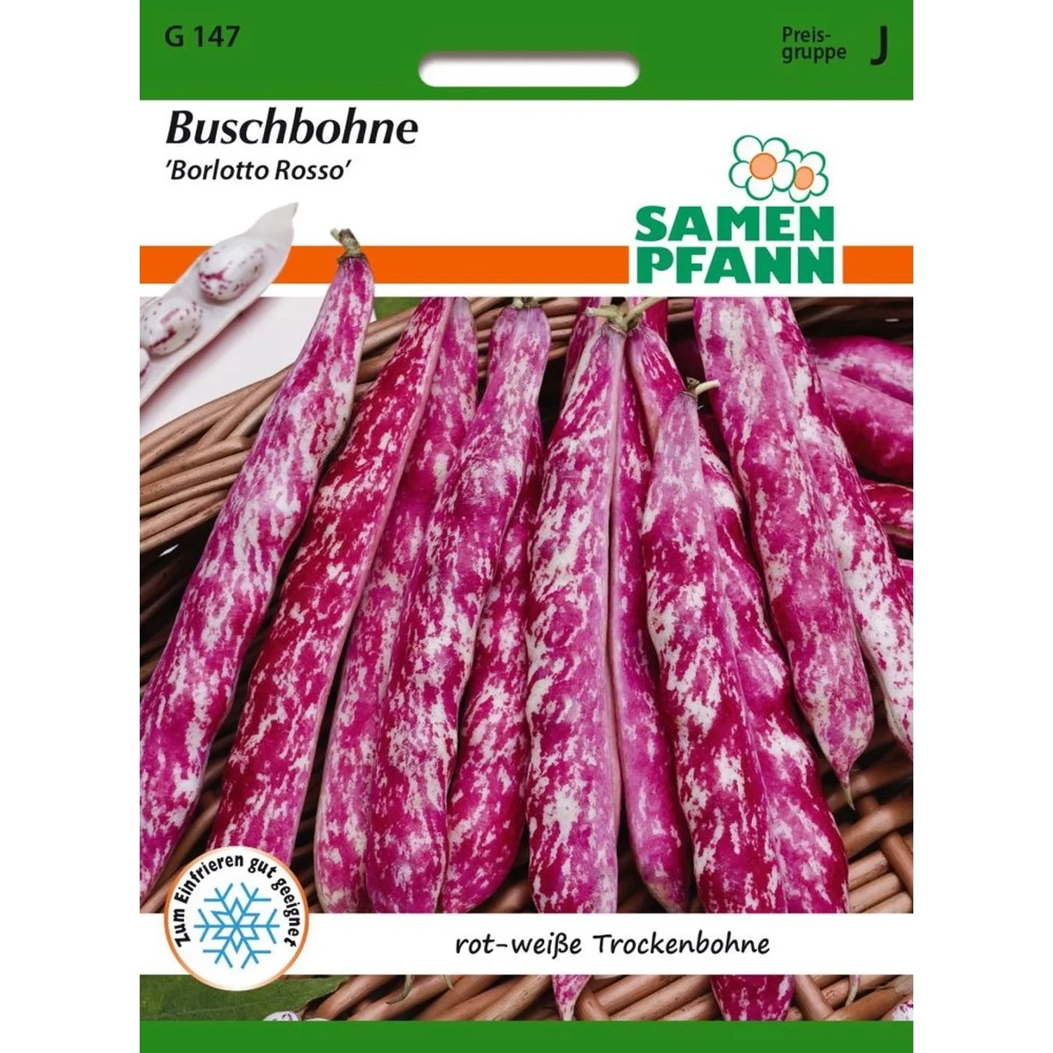 SAMEN PFANN Buschbohne Borlotto Rosso Trockenbohne