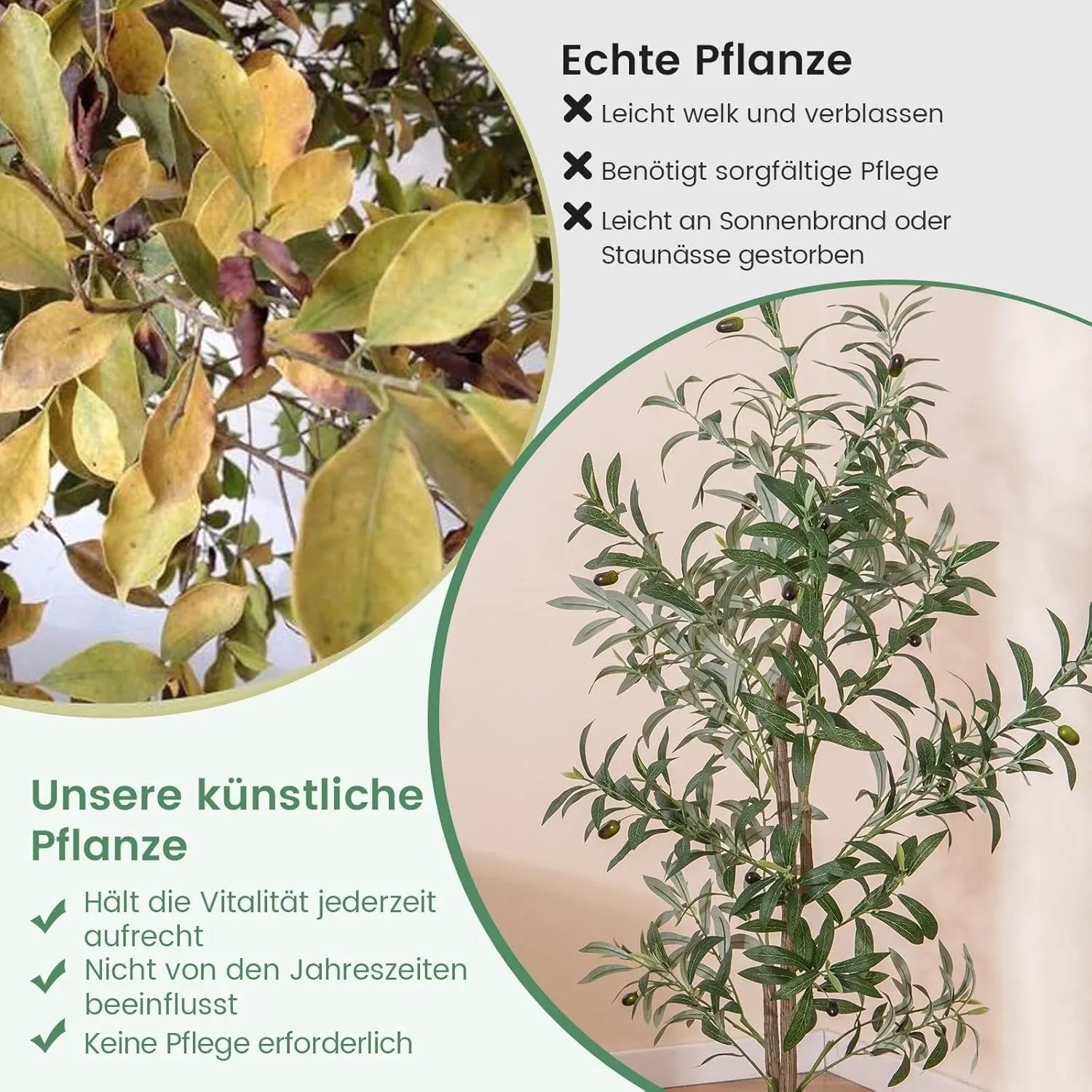 Künstlicher Olivenbaum 130 cm mit grünen Blättern und Olivenfrüchten, im Vergleich zu einer welken echten Pflanze.