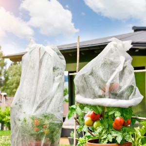 Tomatenpflanzen unter Windhager Vliesschlauch, Schutz vor Kälte und Schädlingen.