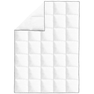 vidaXL Winter-Daunendecke 2 Stk 155x220 cm 132889