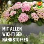 Compo Blühpflanzendünger 1 l_7