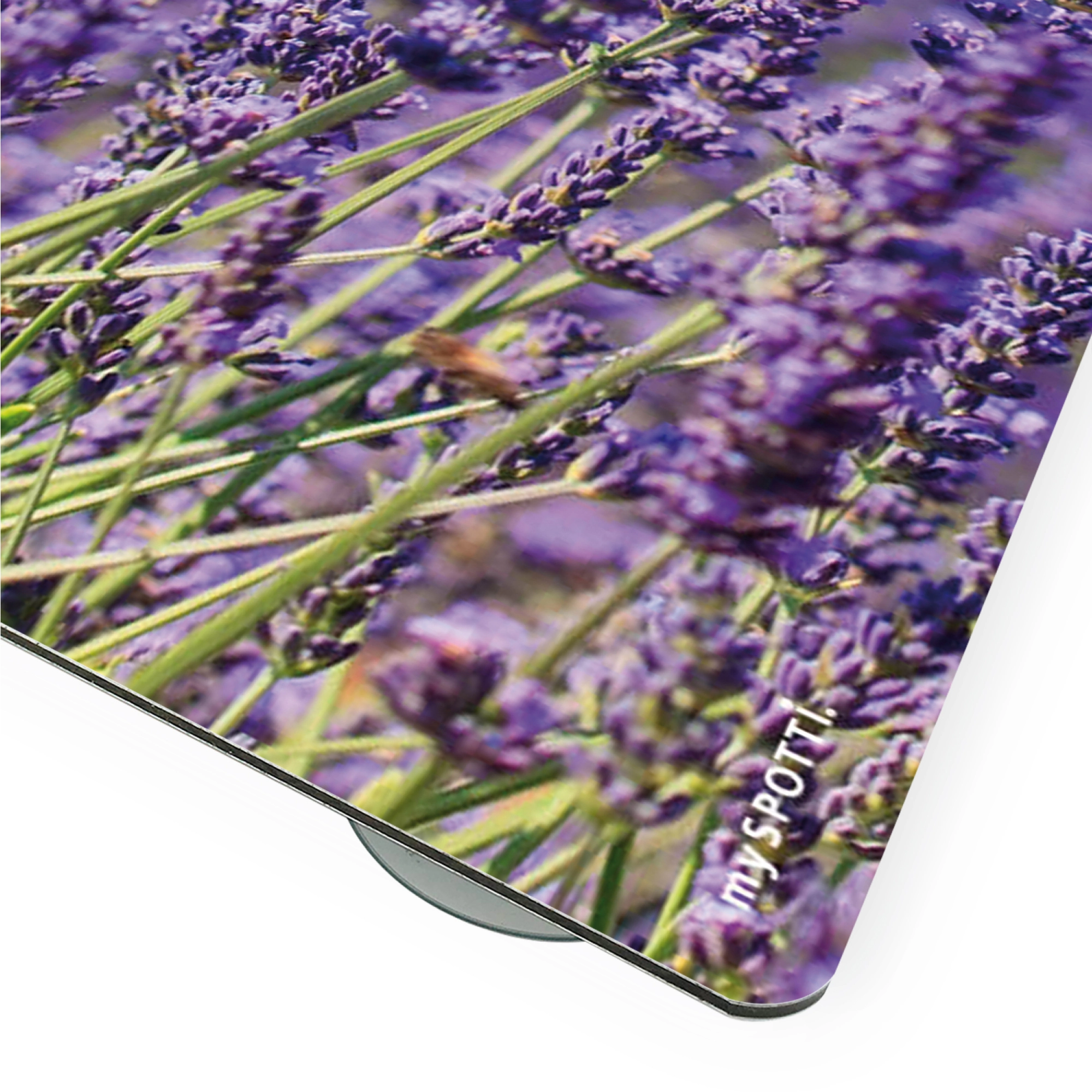 Myspotti Mini-Spritzschutzplatte Lavendel 59 cm x 41 cm kaufen bei OBI