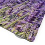 Myspotti Mini-Spritzschutzplatte Lavendel, Küchenrückwand mit Lavendelblüten-Motiv.