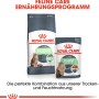 Royal Canin Digest Sensitive: Trocken- und Nassfutter für Katzen mit empfindlicher Verdauung.
