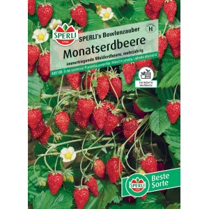 Sperli Monatserdbeere Bowlenzauber: Immer tragende Erdbeeren mit süßen, roten Früchten und grünen Blättern.