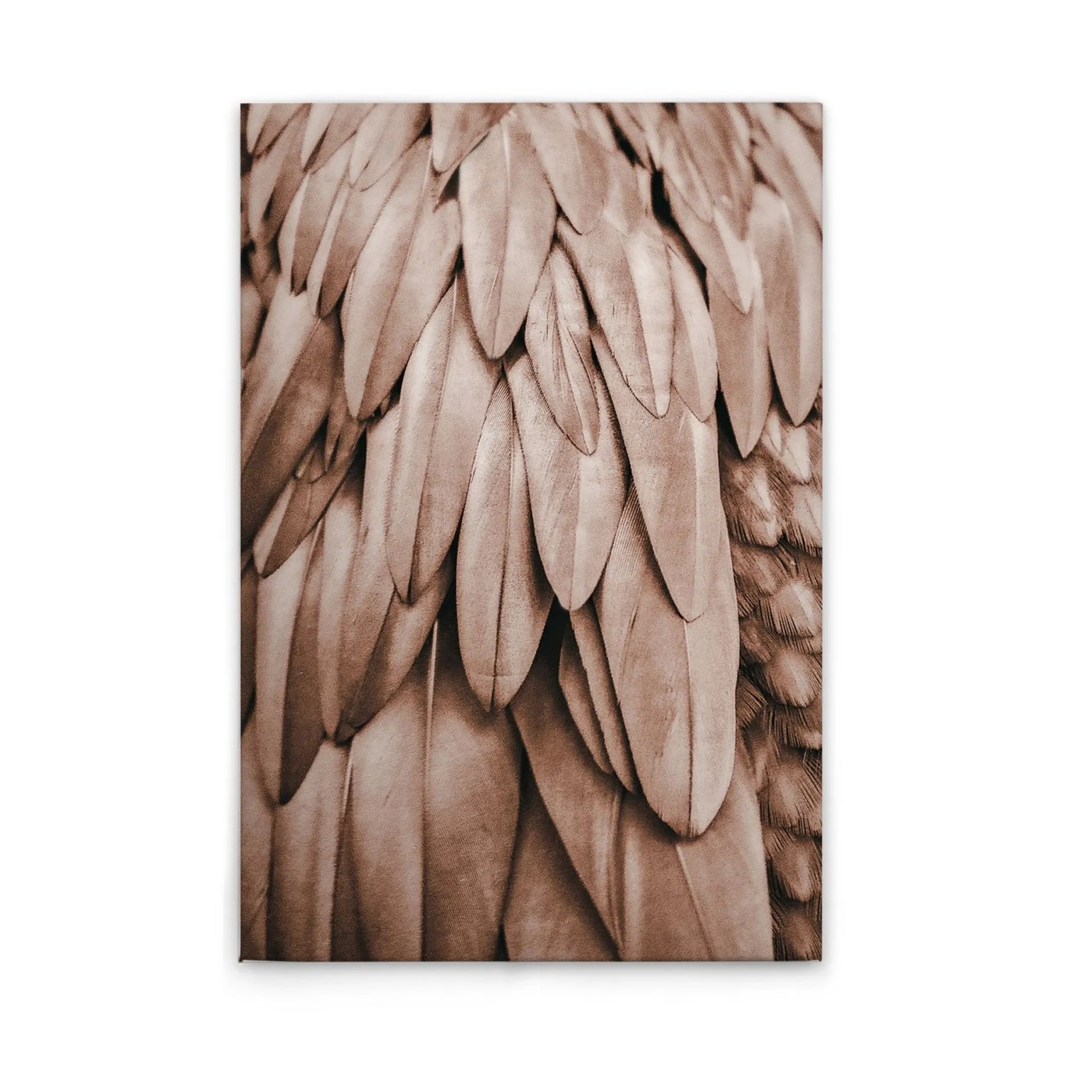 Tadessi Leinwandbild - M1-No.50770 - Federn Rosa - 60 x 90 cm - Querformat