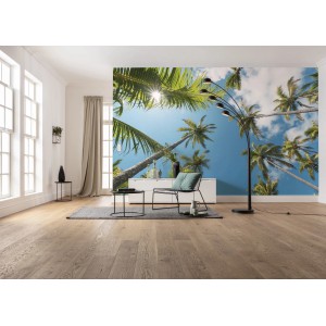Vlies Fototapete Coconut Heaven II im Wohnraum mit Palmen und blauem Himmel.