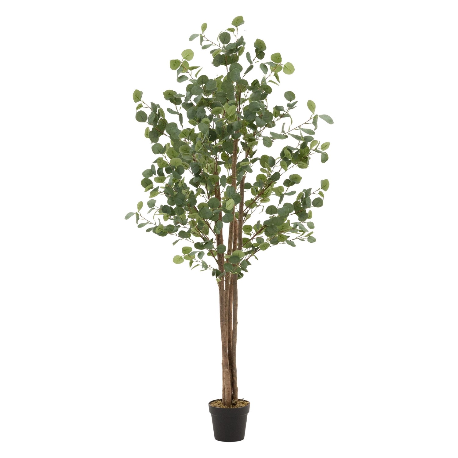 ML-Design Künstliche Eukalyptus 180cm Groß Kunstpflanze Naturholzstamm günstig online kaufen