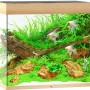 Juwel Aquarium-Set Lido LED, helles Holz, 200 l, bepflanzt mit Fischen.