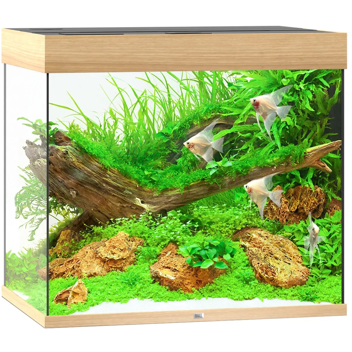 Juwel Aquarium-Set Lido LED, helles Holz, 200 l, bepflanzt mit Fischen.