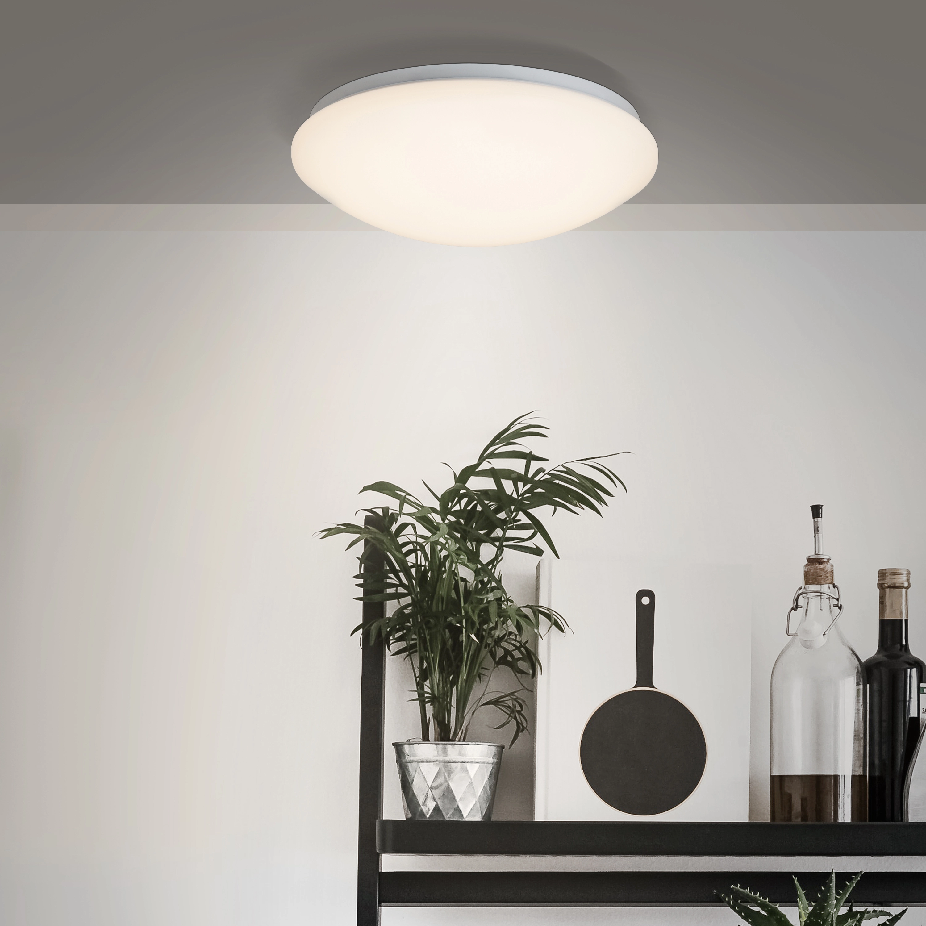 Brilliant LED-Wand- und Deckenleuchte Fakir 32 cm Sensor Weiß und Warmweiß  kaufen bei OBI