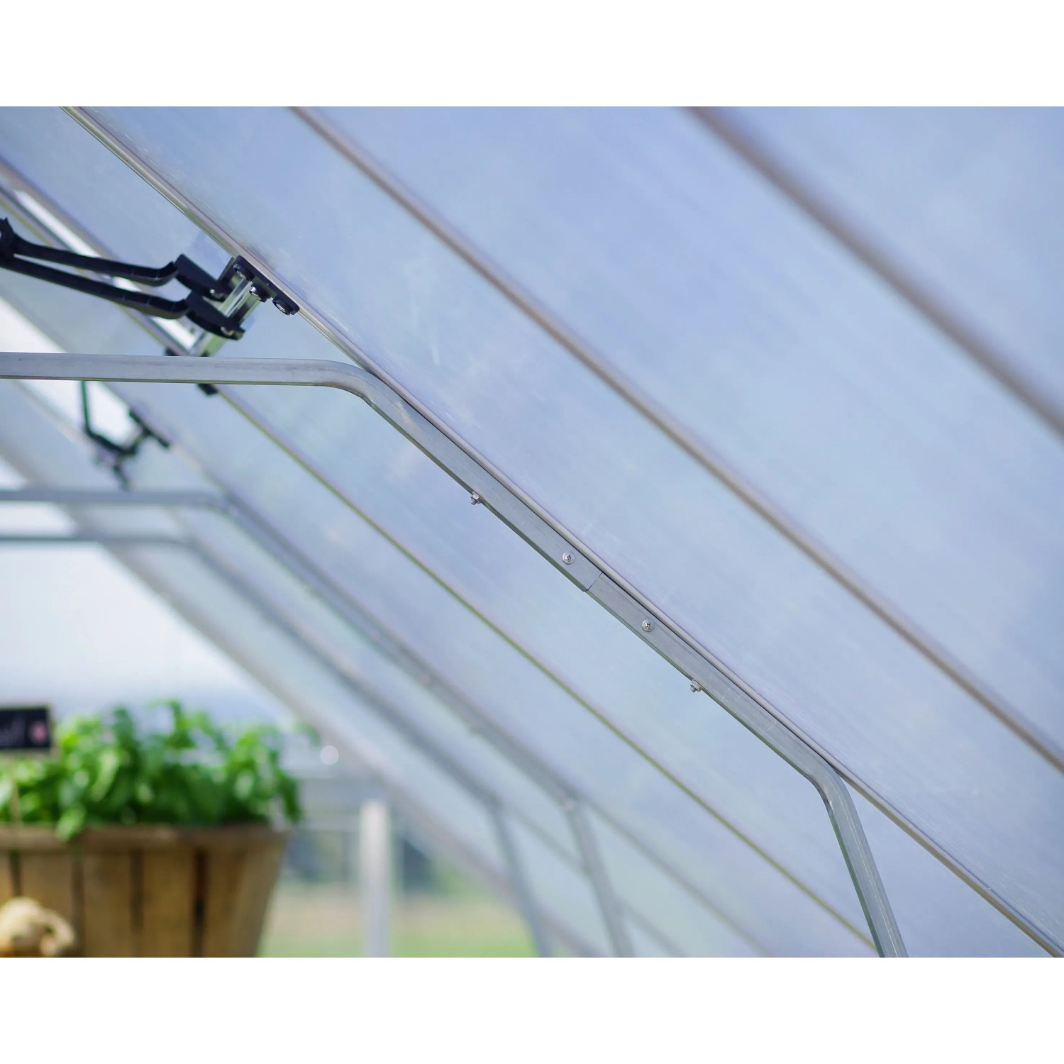 Detailaufnahme des Palram Canopia Balance Gewächshauses mit Polycarbonat-Paneelen und Aluminiumrahmen.
