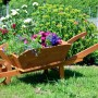 Große, dunkelbraune Pflanz-Schubkarre aus Holz, bepflanzt mit bunten Blumen im Garten.