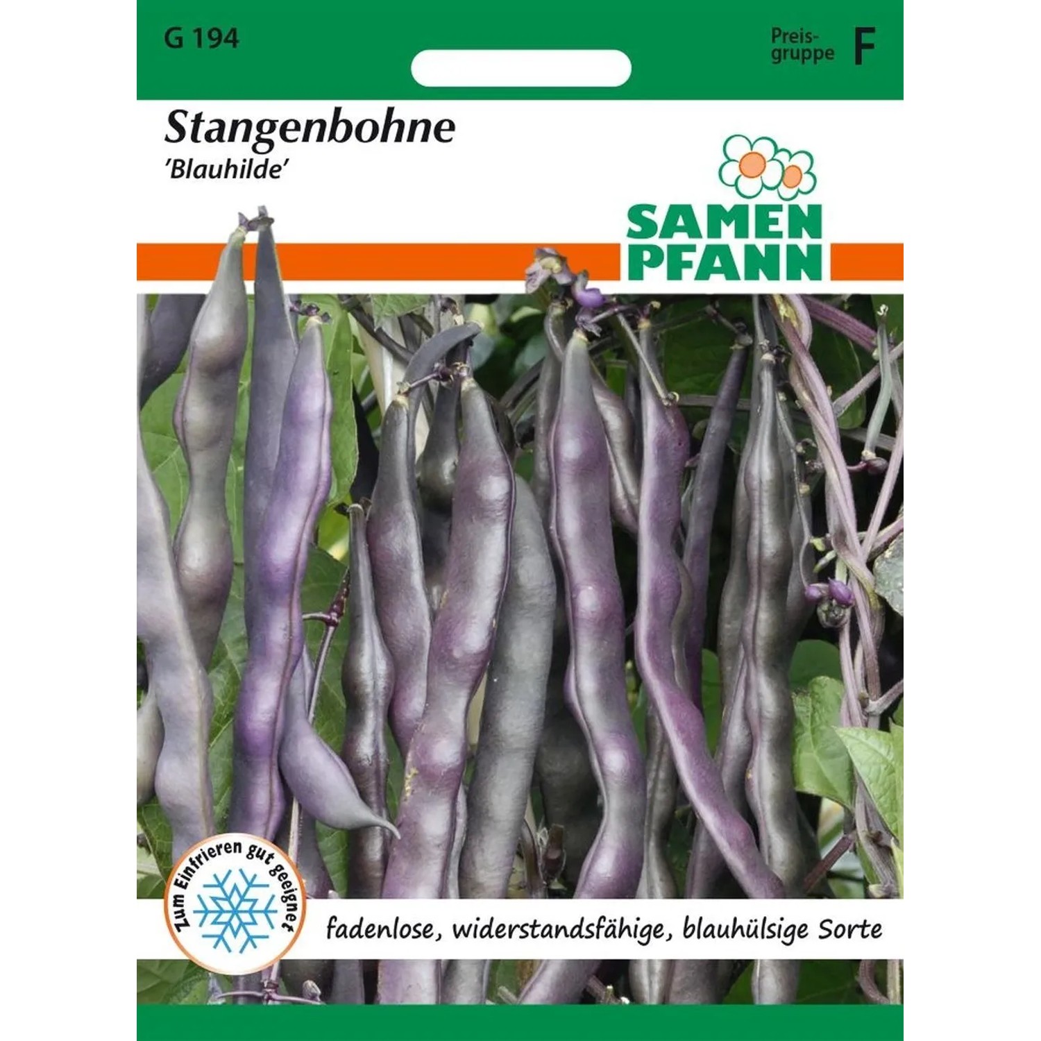 SAMEN PFANN Stangenbohne Blauhilde