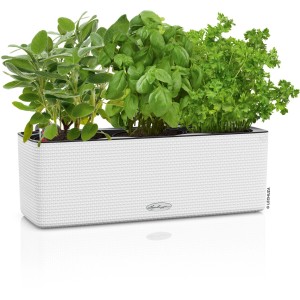 Lechuza Cube Color Triple Pflanzgefäß, 40cm, weiß, mit Kräutern bepflanzt.