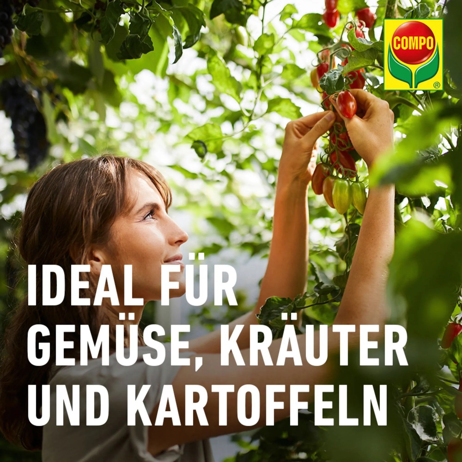 hanf saatgut bio Bio Hanf geschält von Hanf&Natur