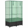 vidaXL Hochbeet mit Gewächshaus-Aufsatz in Rattan-Optik, 80x40x138 cm.