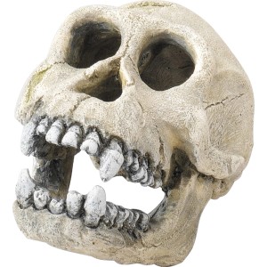 Ebi Dekor Schimpanse: Totenkopf als Dekofigur für Aquarien, 16 cm groß.