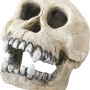 Ebi Dekor Schimpanse: Totenkopf als Dekofigur für Aquarien, 16 cm groß.