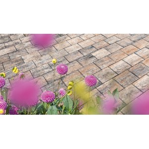 Diephaus Pflastersteine Ringo Muschelkalk, 20x15x5 cm, verlegt mit Blumen im Vordergrund.