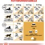 Fütterungstabelle für Royal Canin Maine Coon Adult Katzenfutter, Dosierungsempfehlung nach Gewicht und Aktivität.