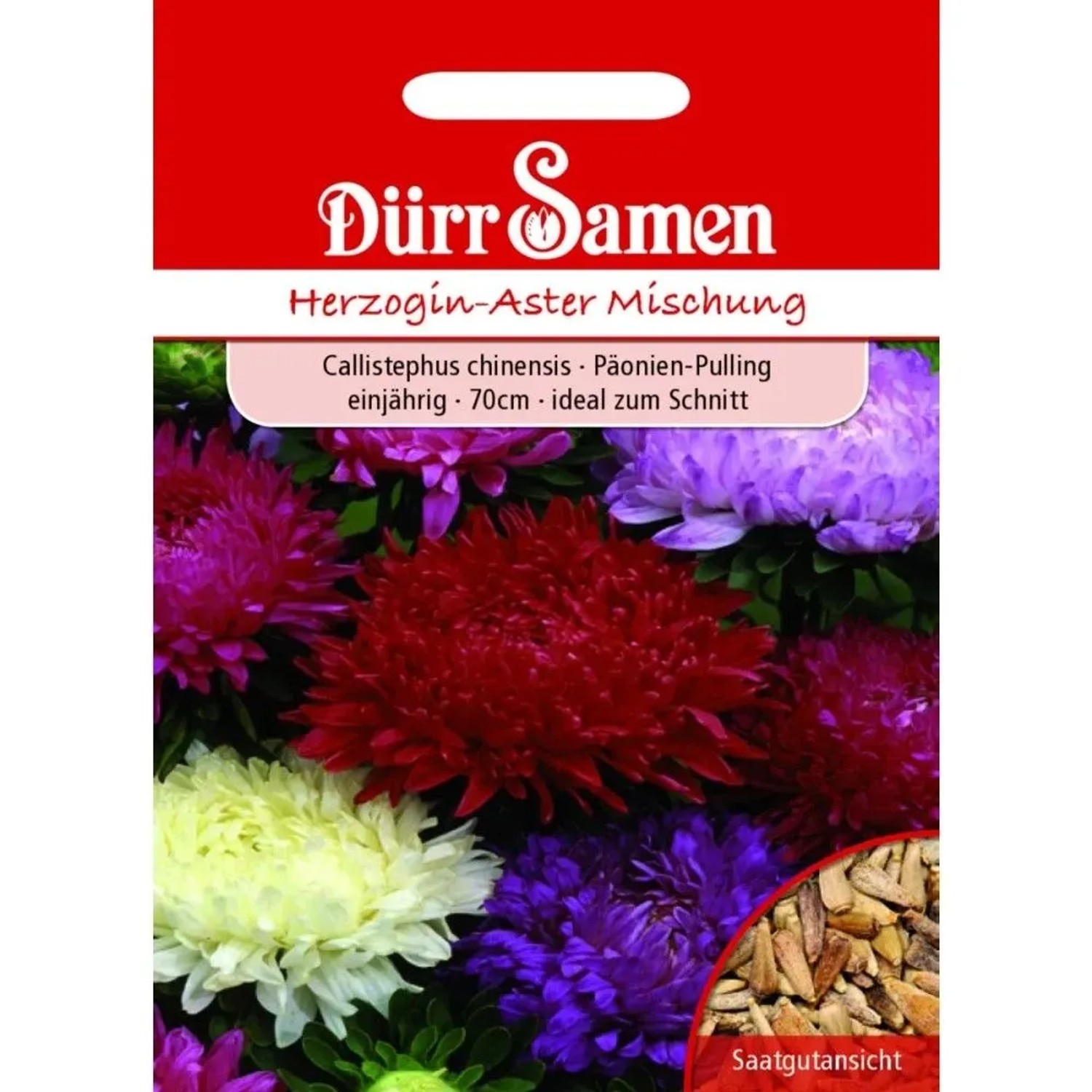 Dürr Samen Herzogin-Aster Prachtmischung Einjährig Saatgut