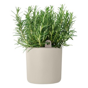 Elho Kräutertopf Happy Herbs, Ø 14 cm, Leinenweiß mit Rosmarin.