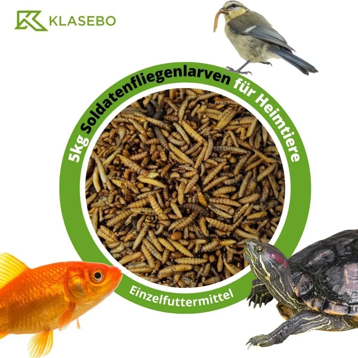 Klasebo 2 Liter Soldatenfliegenlarven 5kg Ganze Getrocknete Hermetia Illucens