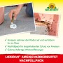 Neudorff Loxiran Ameisen-Köder Nachfüllpack (2x20ml) zur Ameisenbekämpfung im Haus und Garten.