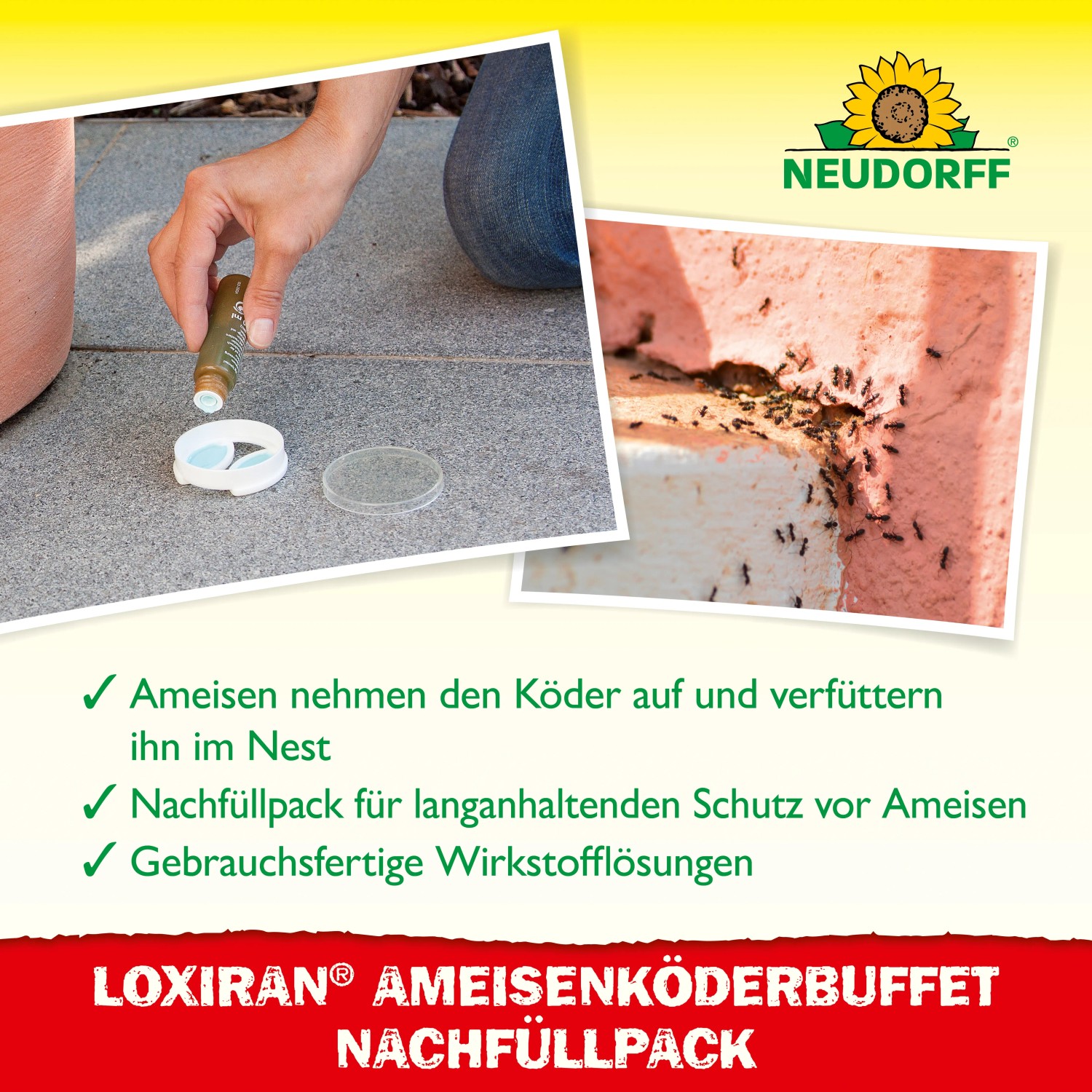 Neudorff Loxiran Ameisen-Köder Nachfüllpack (2x20ml) zur Ameisenbekämpfung im Haus und Garten.