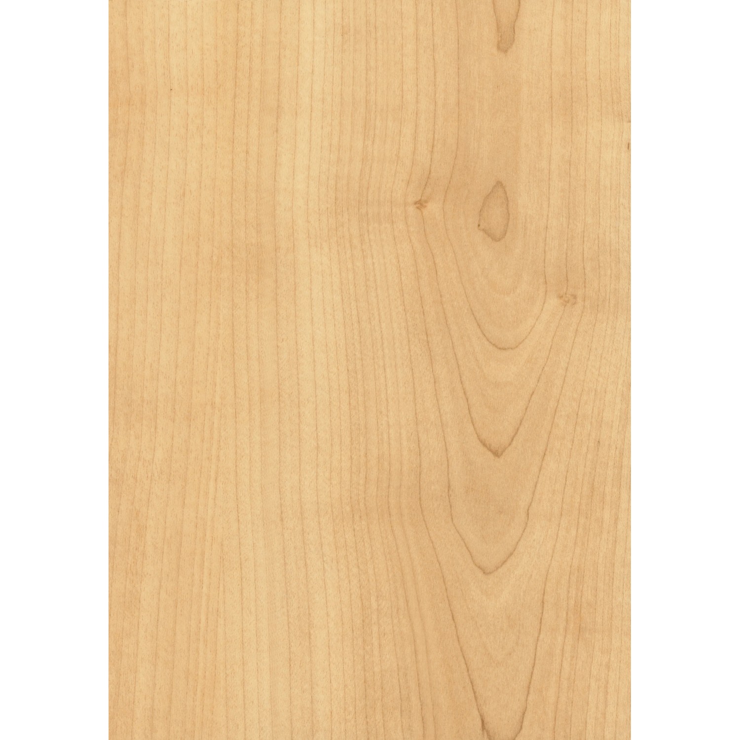 Türrahmen CPL Ahorn Holznachbildung, passend für Türblatt 73,5x198,5 cm, Rechts