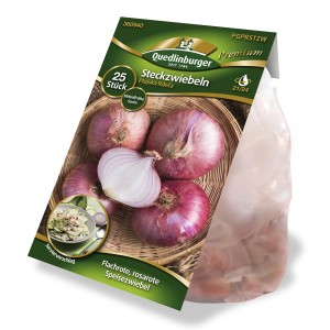 Quedlinburger Steckzwiebel Rosa 'Ptujska Rdeca', flachrunde, rosarote Speisezwiebel im Beutel.