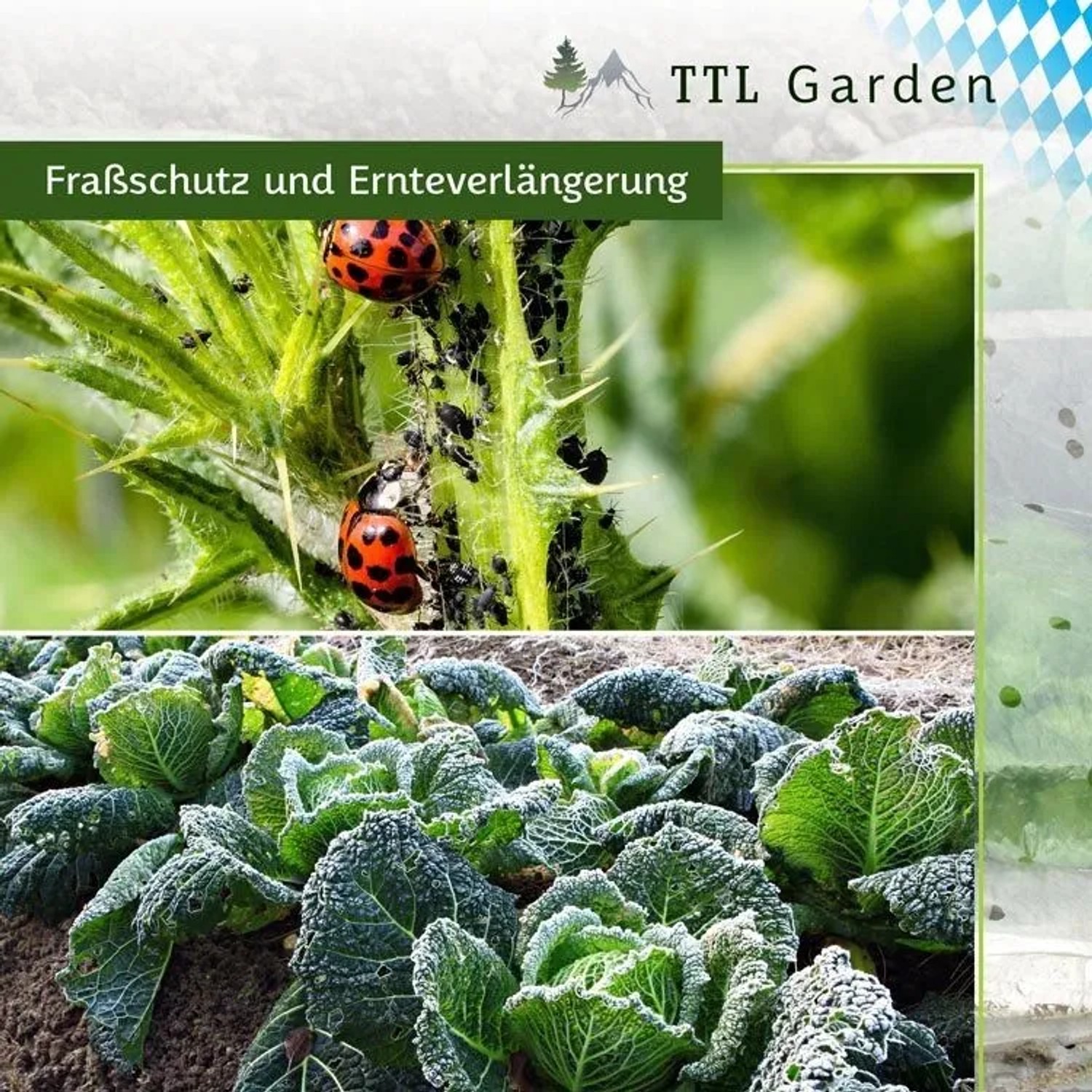 Pflanztunnel-Bögen schützen Gemüsebeet und Pflanzen vor Schädlingen und verlängern die Ernte.