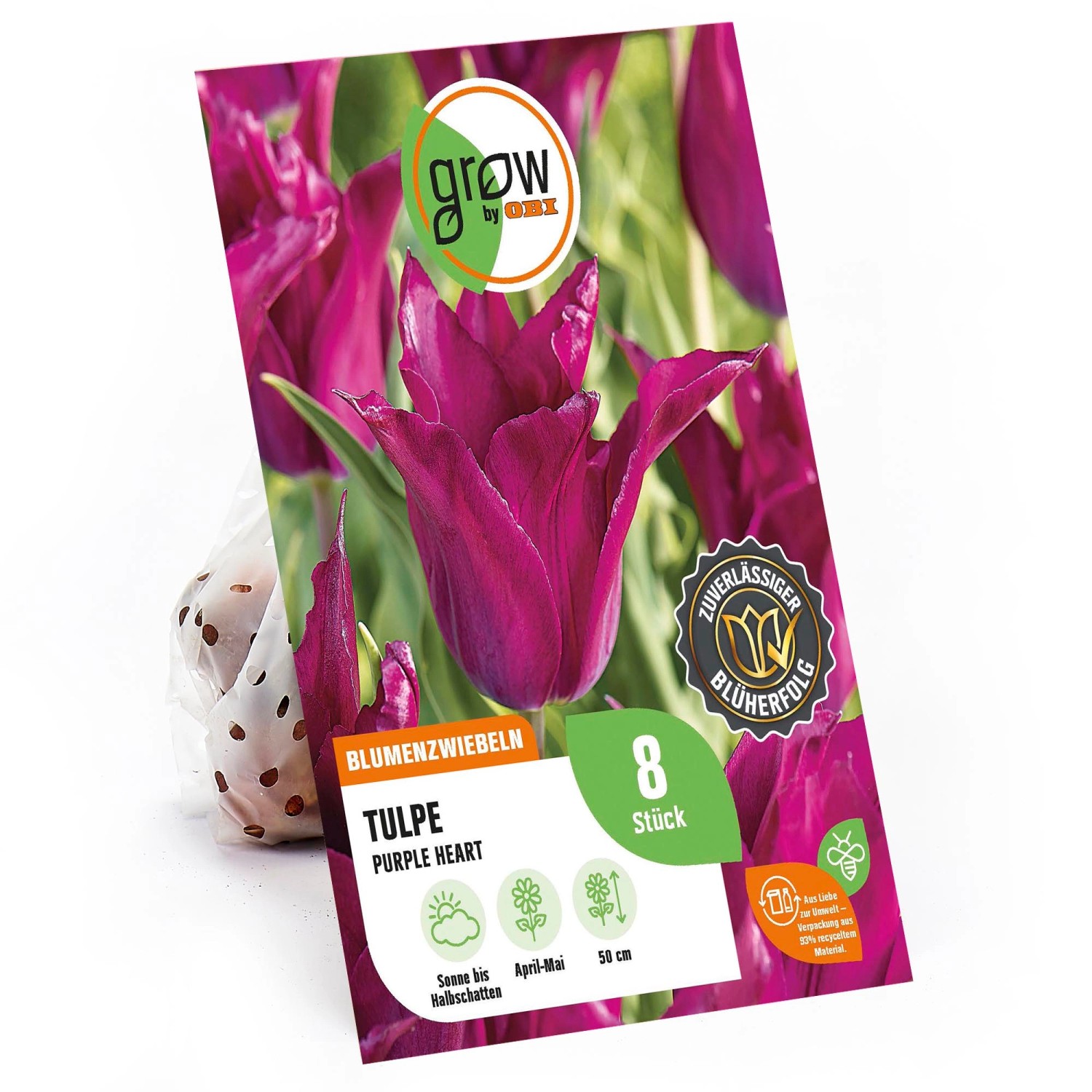 GROW by OBI Tulpe Purple Heart Violett 8 Stück Tulipa günstig online kaufen