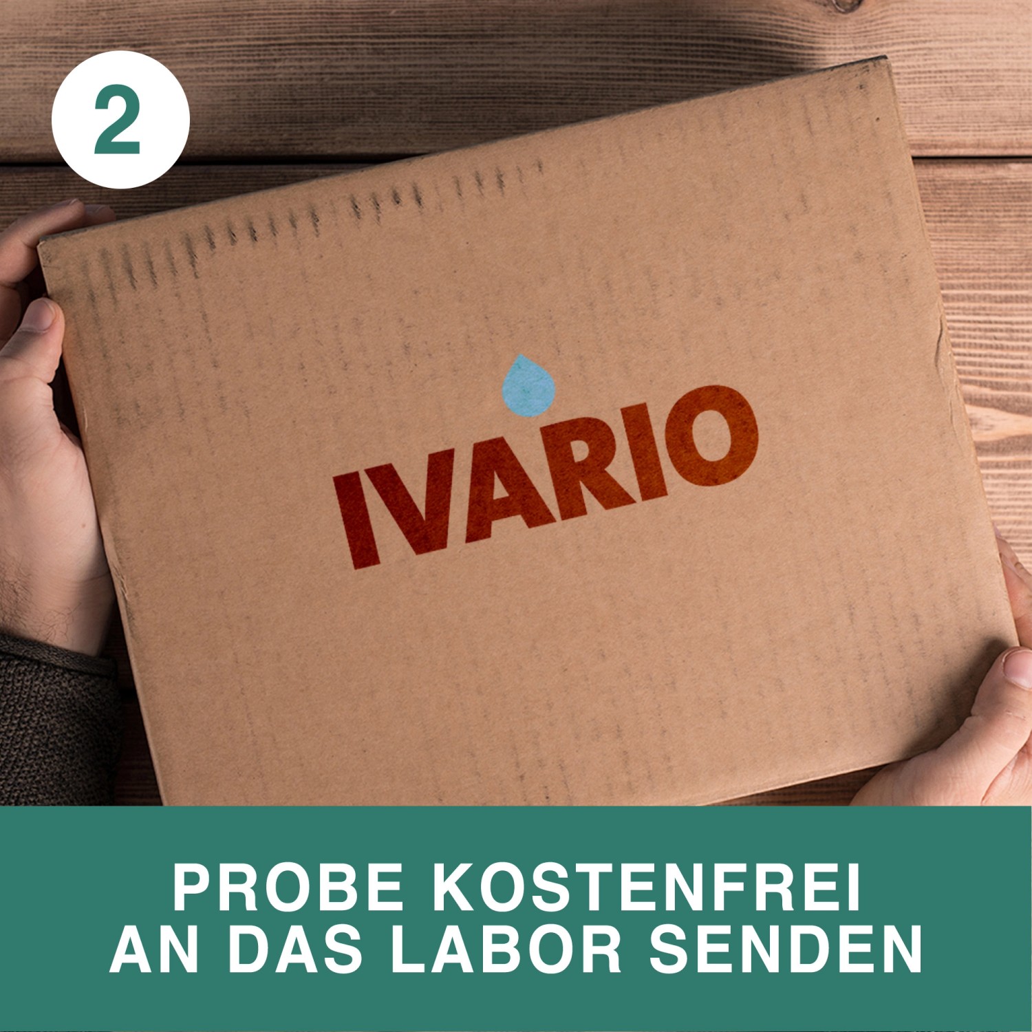 Ivario Bodentest Schadstoffe: Hände halten Karton mit Logo vor Holzhintergrund.