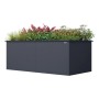 Weka Metall-Hochbeet Gary XL, 200x100x77 cm, Anthrazit, bepflanzt.