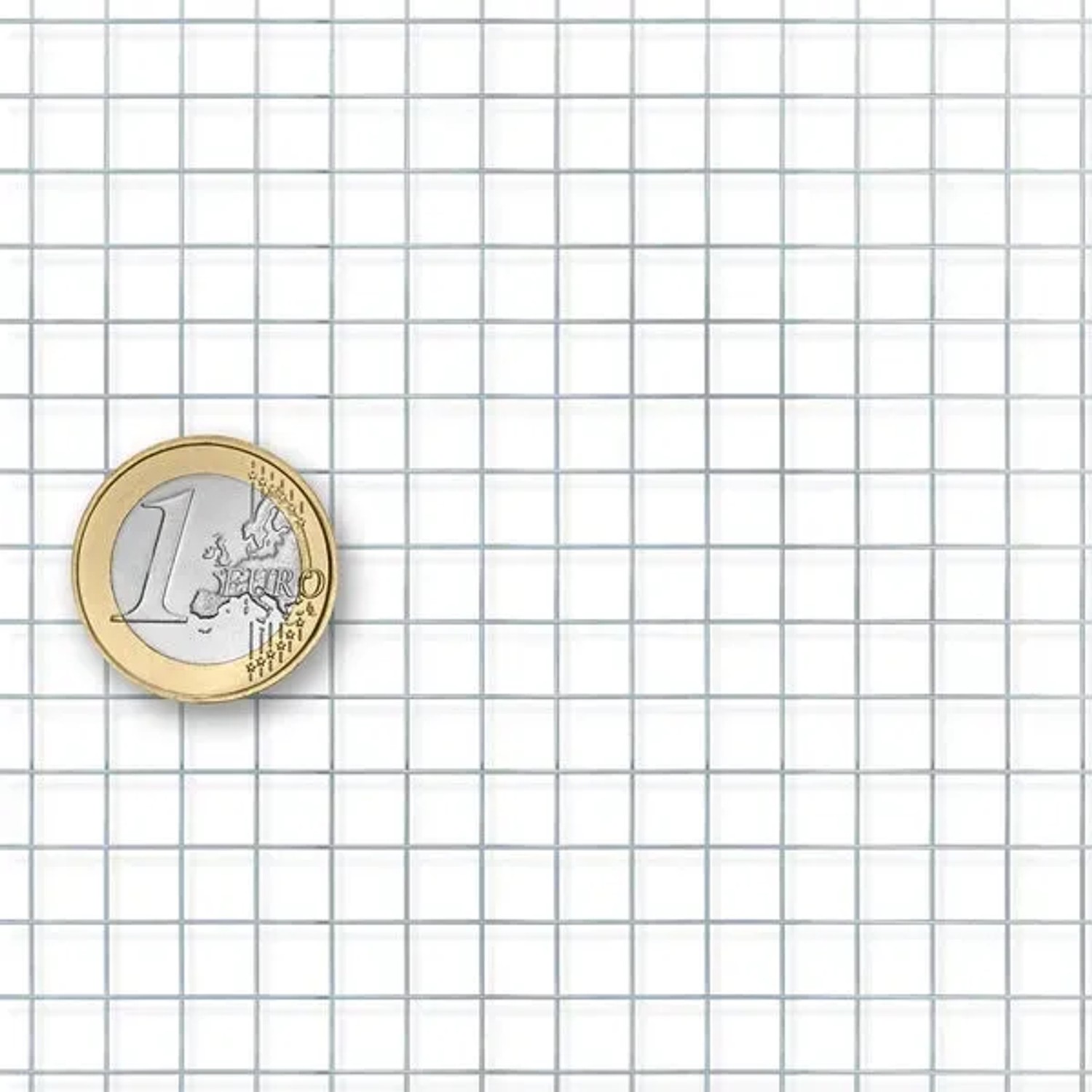 Feinmaschiges, verzinktes KARAT Drahtgitter (Maschenweite 6,3mm) mit Euro-Münze als Größenvergleich.