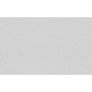 Weiße, überstreichbare Vliesfaser Protect 202 Tapete mit feiner Struktur.