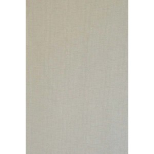 Bricoflor Schiebevorhang Faria Beige, transparenter Fenstervorhang mit Technik.