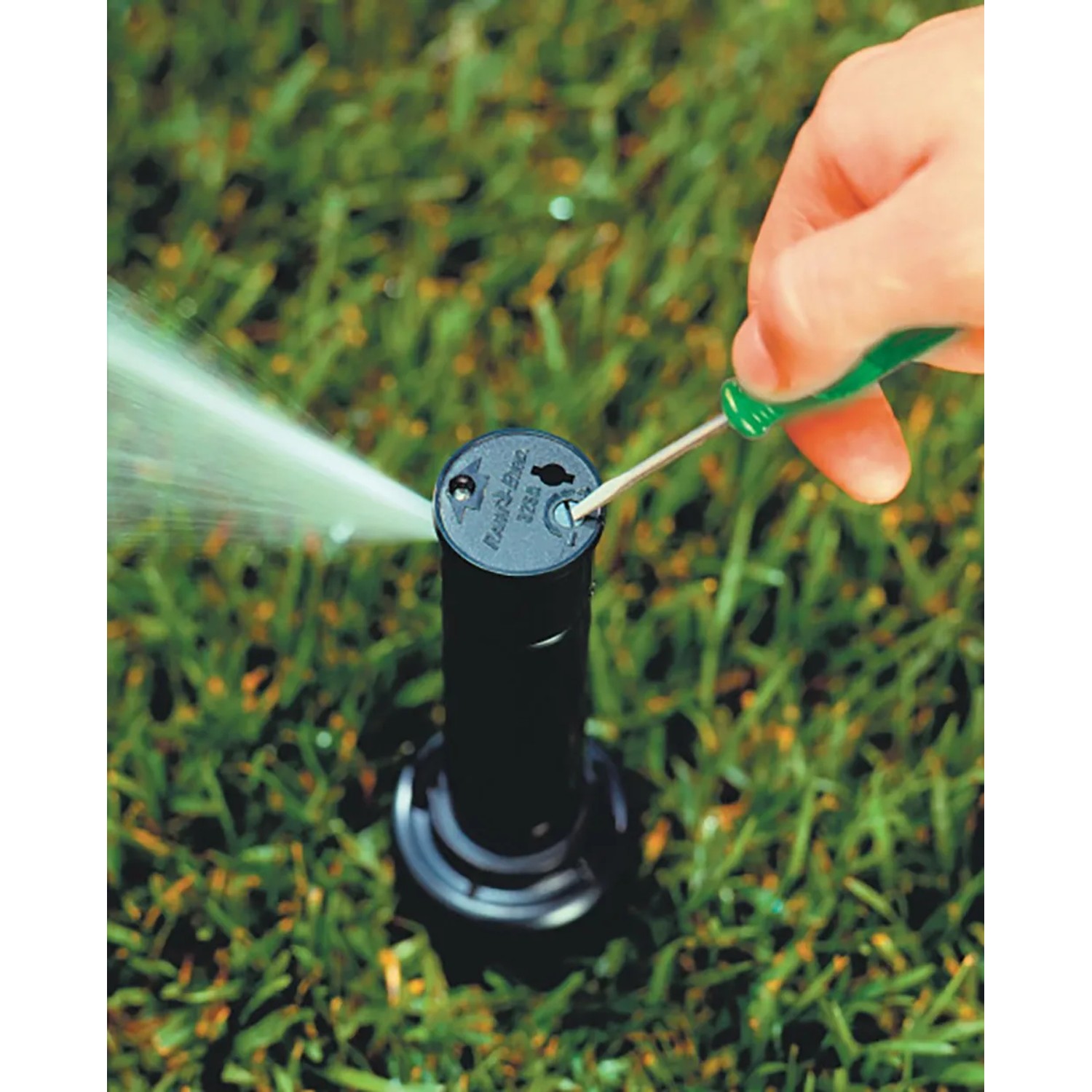 Rain Bird Versenkregner 32 SA im Einsatz: Einstellung mit Schraubenzieher, Wasserstrahl sichtbar.