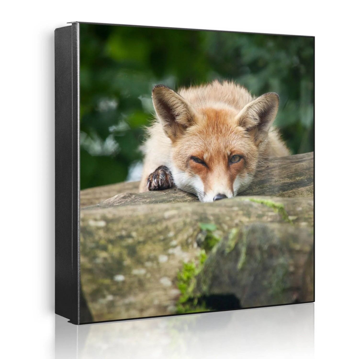 Banjado Großer Schlüsselkasten Metall 30x30cm Schwarz Scharnier Links 50 Haken Beschreibbar Magnetisch Motiv Fuchs Relax