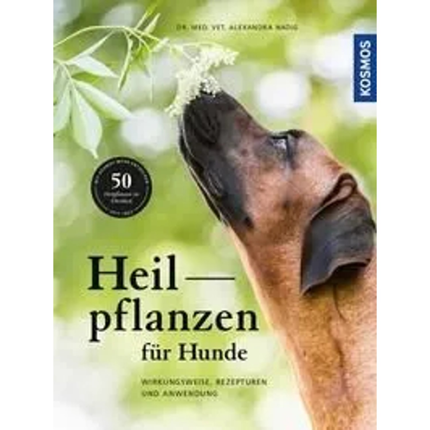 Heilpflanzen für Hunde