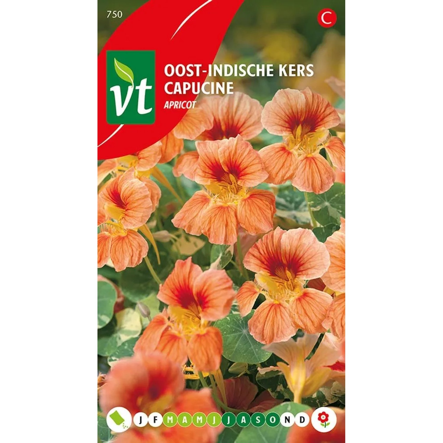 arborix Kapuzinerkresse 'Apricot' Saatgut Ca. 3, 5 G Apricotfarbene Blüten