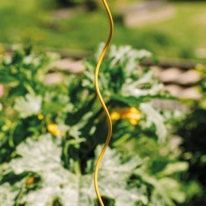 Bellissa Tomaten-Spirale Colorata, 170 cm, honigfarben, Rankhilfe für Tomatenpflanzen im Garten.