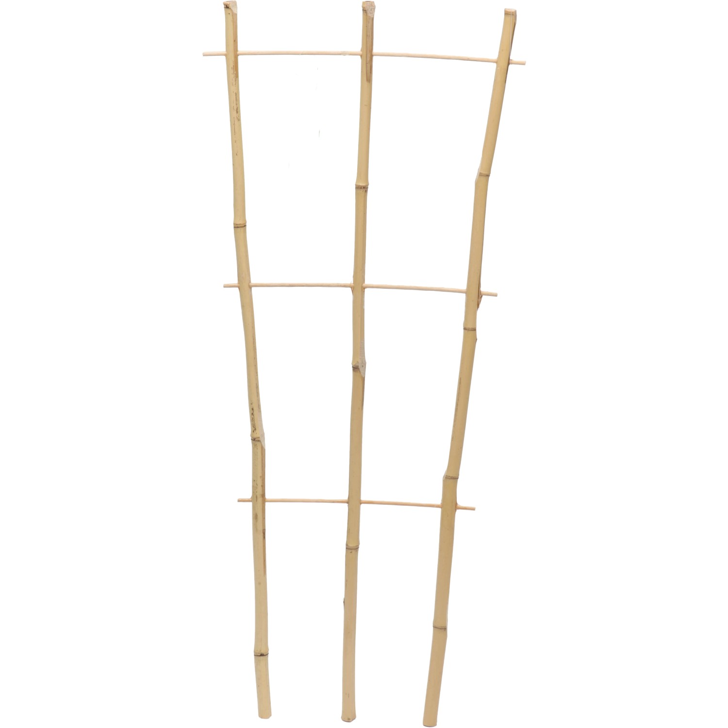 Floraworld Pflanzengitter Classic 160 cm günstig online kaufen