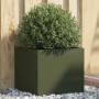 Olivgrüner Pflanzkübel aus Stahl, quadratisch, mit grüner Pflanze im Garten auf Kies. Ideal für Balkon & Terrasse.