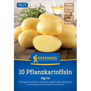 Kiepenkerl Pflanzkartoffel Agria, 10 St